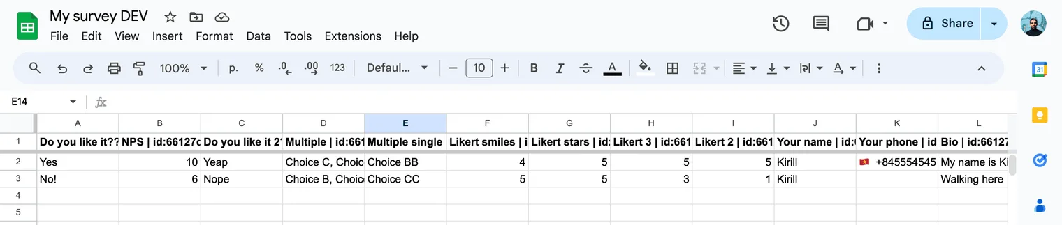 Spreadsheet with survey data